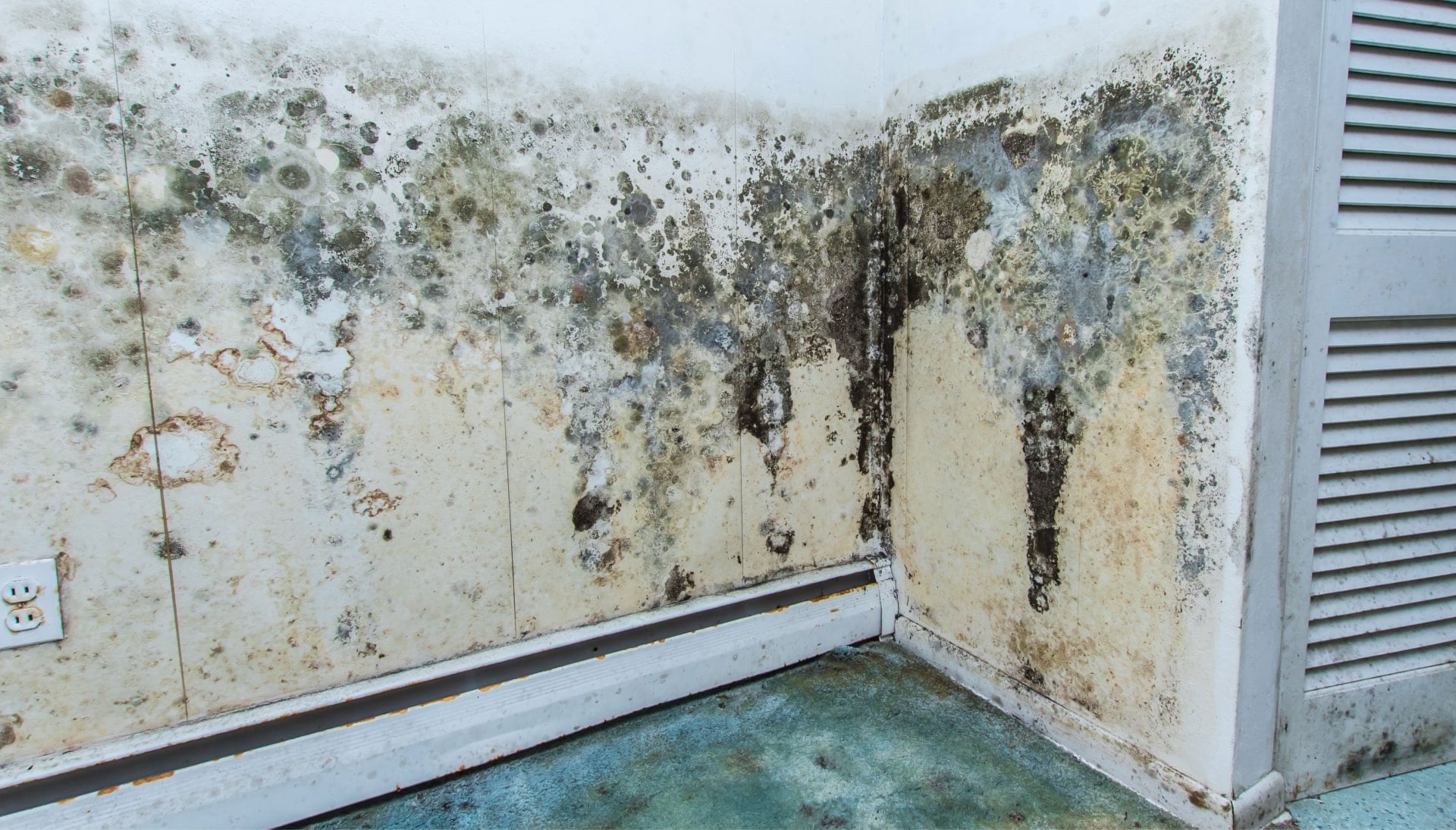 Professional mold removal, odor control, and water damage restoration service in Winston-Salem, NC.