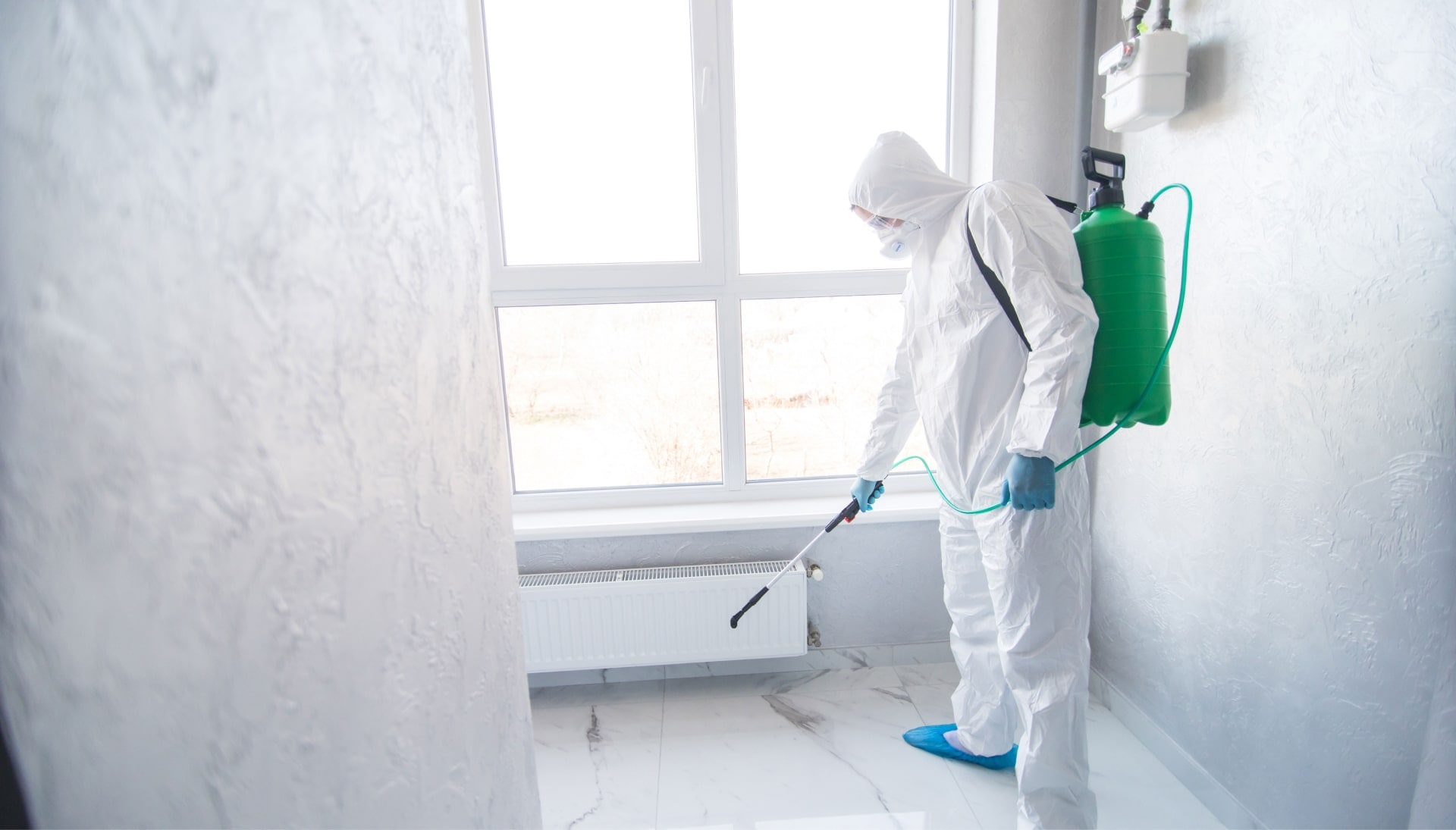 We provide the highest-quality mold inspection, testing, and removal services in the Winston-Salem, NC area.